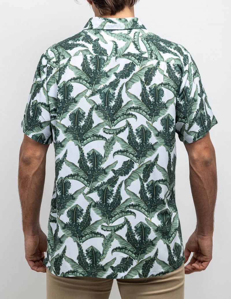 CAMISA BEVERLY HILLS 2